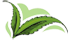 Ayurvedic treatment in Pune